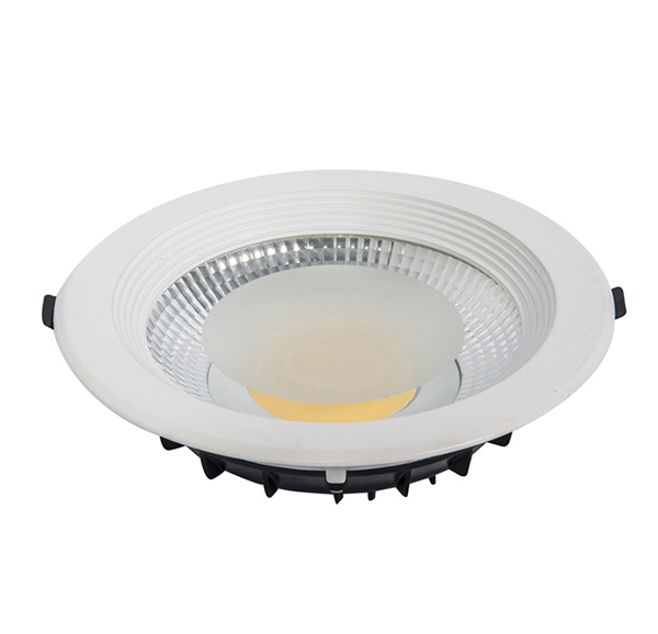 LED Down Light