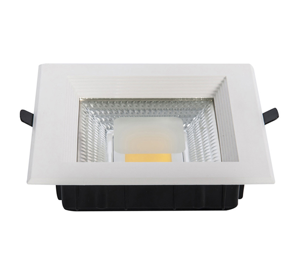 LED Down Light