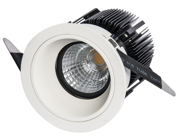 LED Down Light