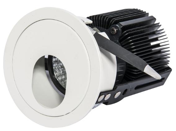 LED Down Light
