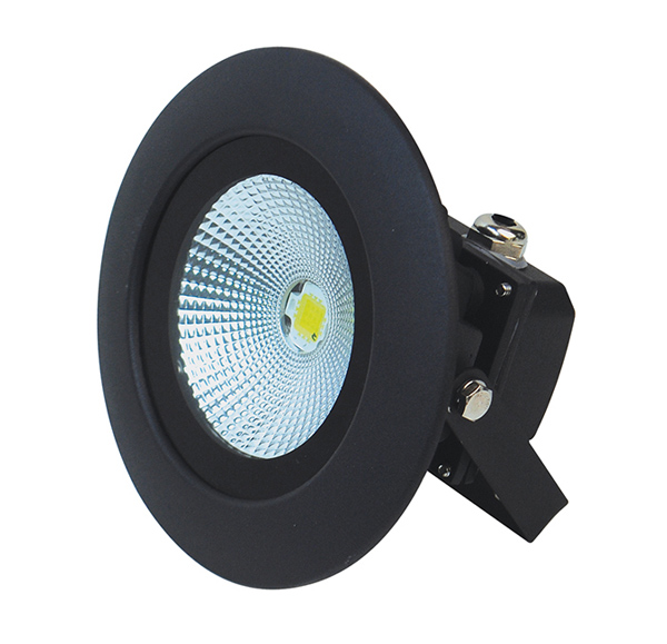 LED Flood Light