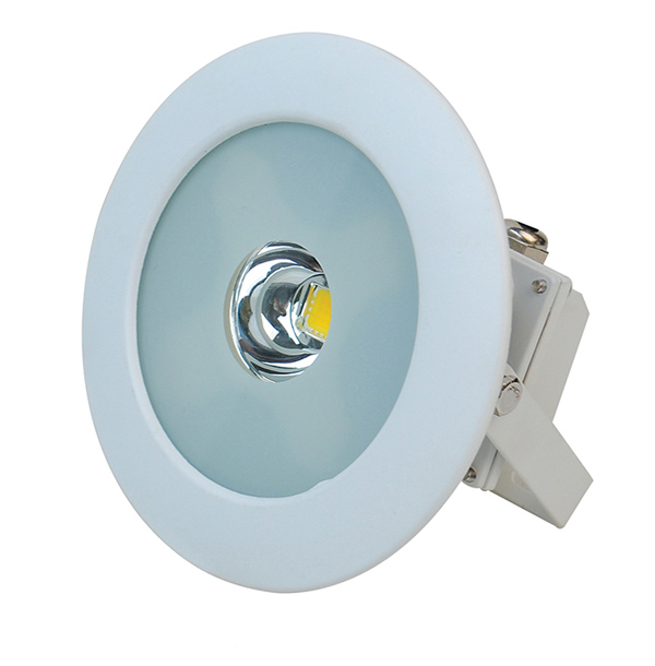 LED Flood Light