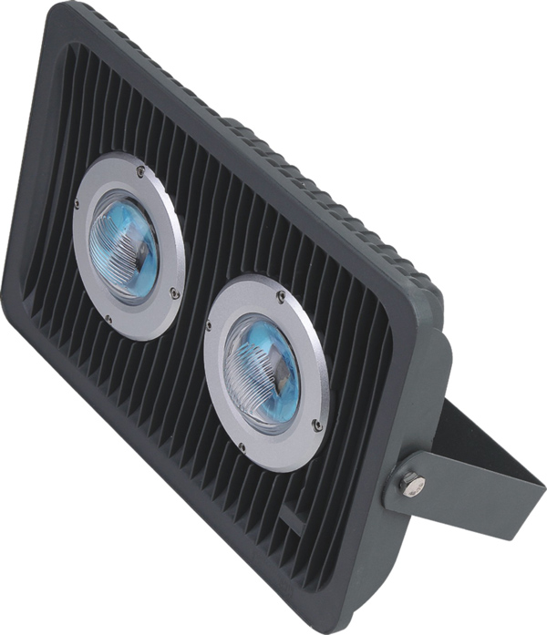 LED Flood Light