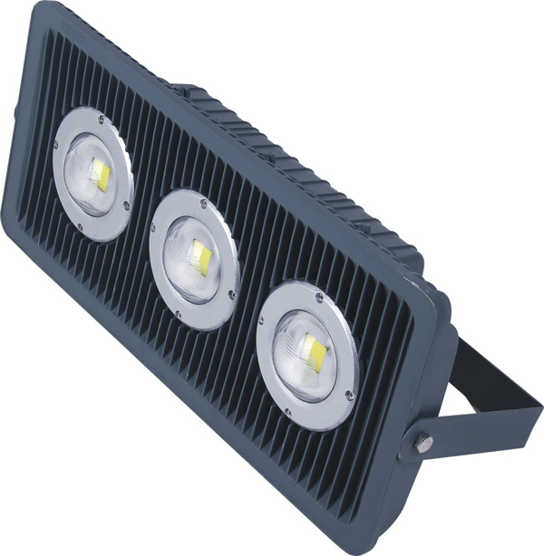 LED Flood Light