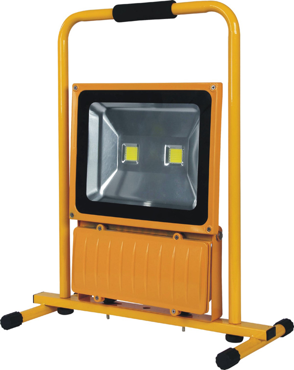 LED Flood Light