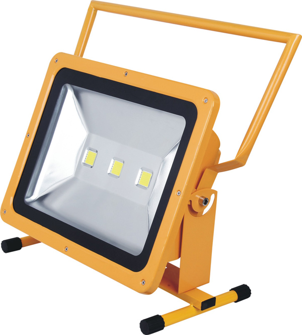LED Flood Light